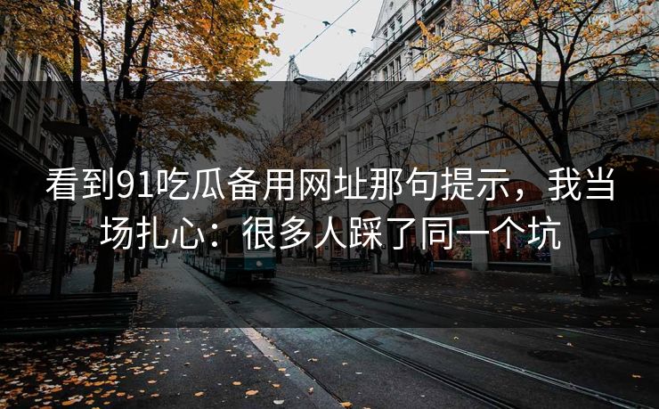 看到91吃瓜备用网址那句提示，我当场扎心：很多人踩了同一个坑