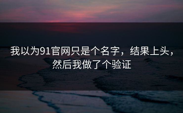 我以为91官网只是个名字，结果上头，然后我做了个验证